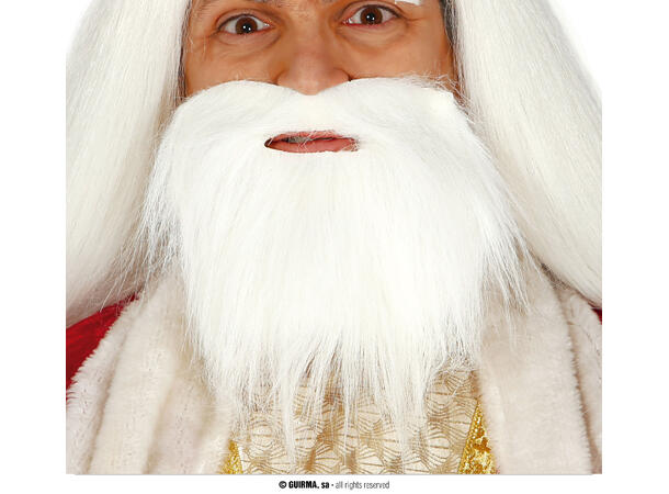 Kort hvitt skjegg m/bart 1 Skjegg i syntetisk hår 