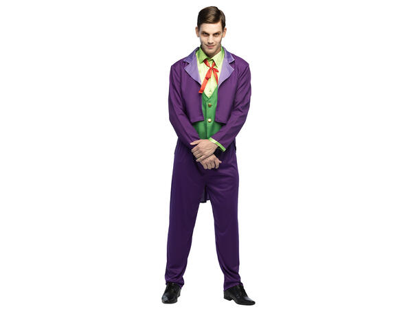 Ondt geni - Lilla/grønn 1 Herrekostyme - Str XL 