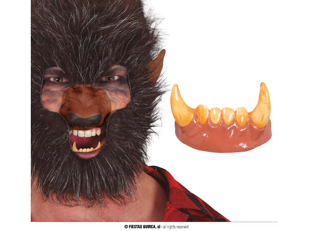 Varulvtenner - undertenner 1 sett med tenner i plast 