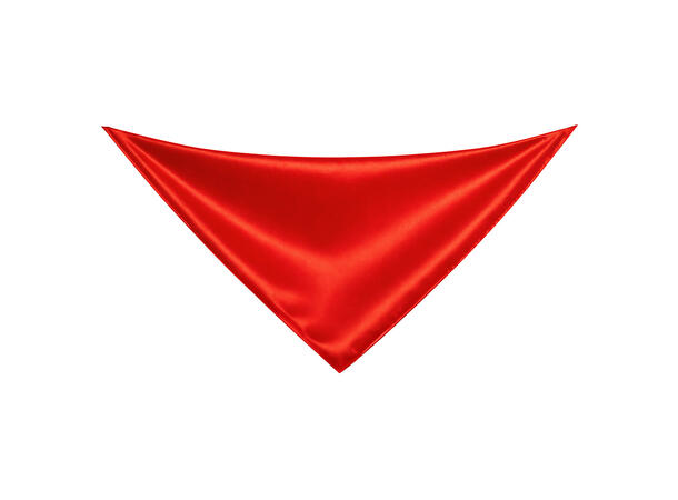 Parykk - Pirat Victoria m/bandana 1 Dameparykk - Onesize 