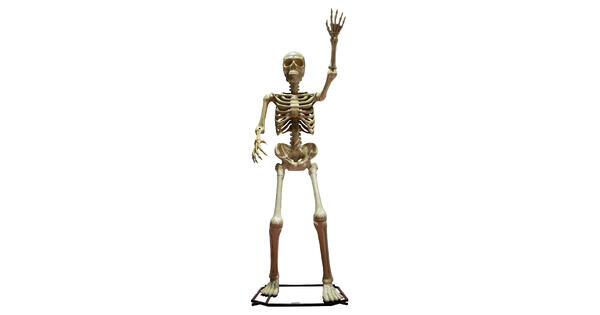 51166