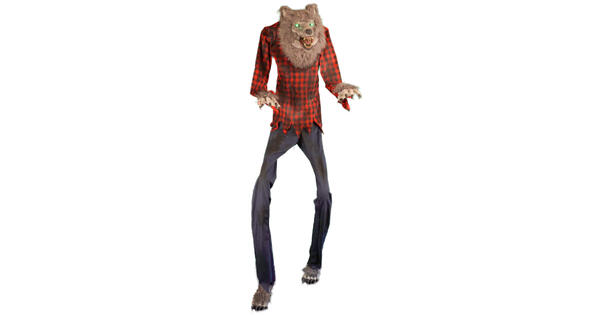 51167