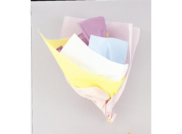Silkepapir - Assortert Pastell 10 stk silkepapir - 50x66cm