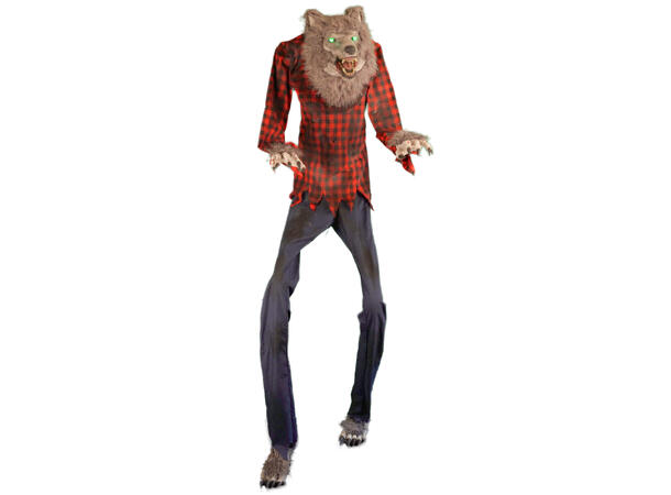 Wolfman - m/lyd, lys og bevegelse 1 Dekorasjon - 200cm m/strømforsynig 