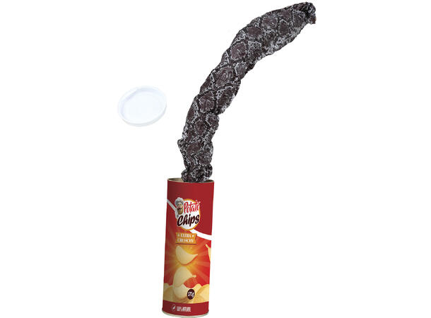 Chipsbeholder m/overraskelse 1 Festleke i papir - 20cm 