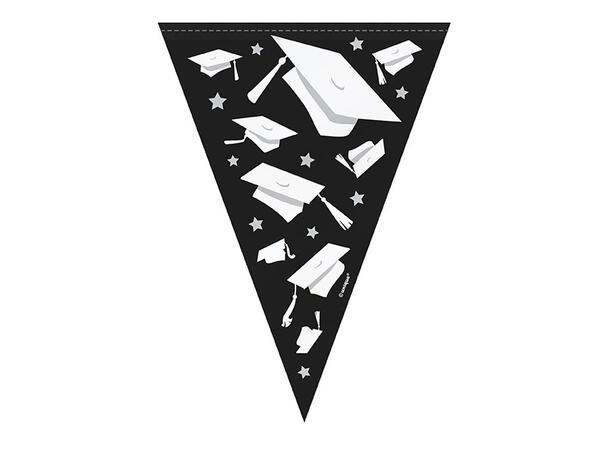 Flaggbanner - Graduation 1 Flaggbanner i plast - 2,9m